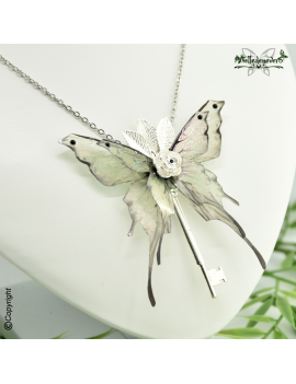 Papillon Féerique Irisia