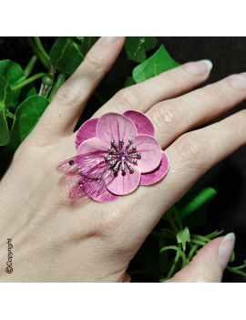 Rose Hortensia Fairy