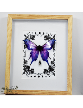 Fairy Butterfly Amilia